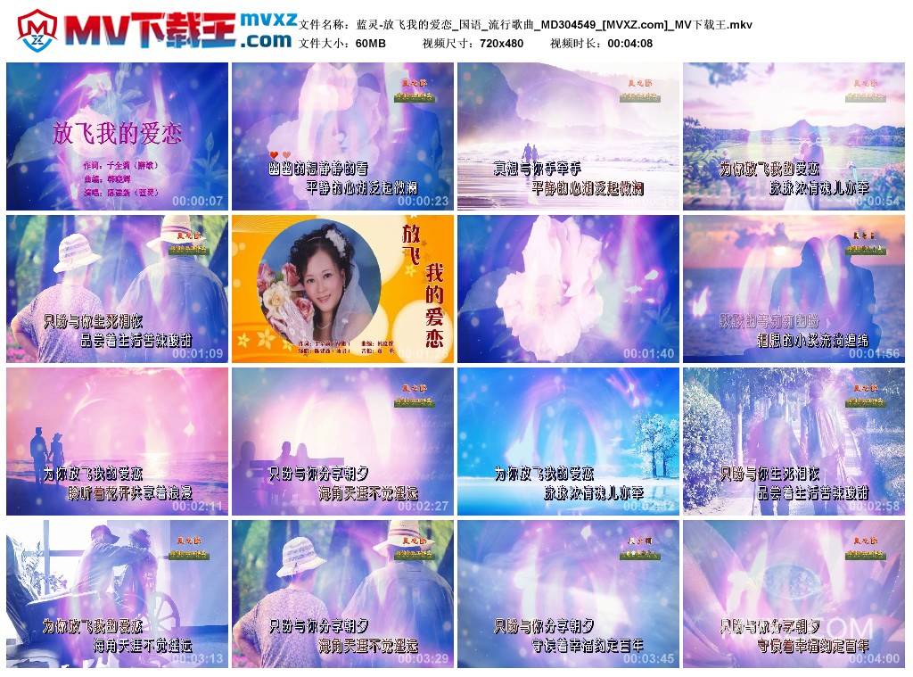 蓝灵-放飞我的爱恋_国语_流行歌曲_MD304549